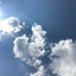 Meet your Posher, Mann